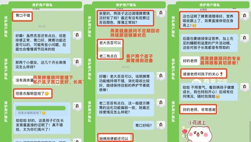 燕莢三大核心優(yōu)勢(shì)，鑄就品牌硬實(shí)力——招生輔助服務(wù)的卓越之道